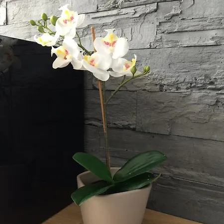 Apartament Na Ogrodach Poznań Esterno foto
